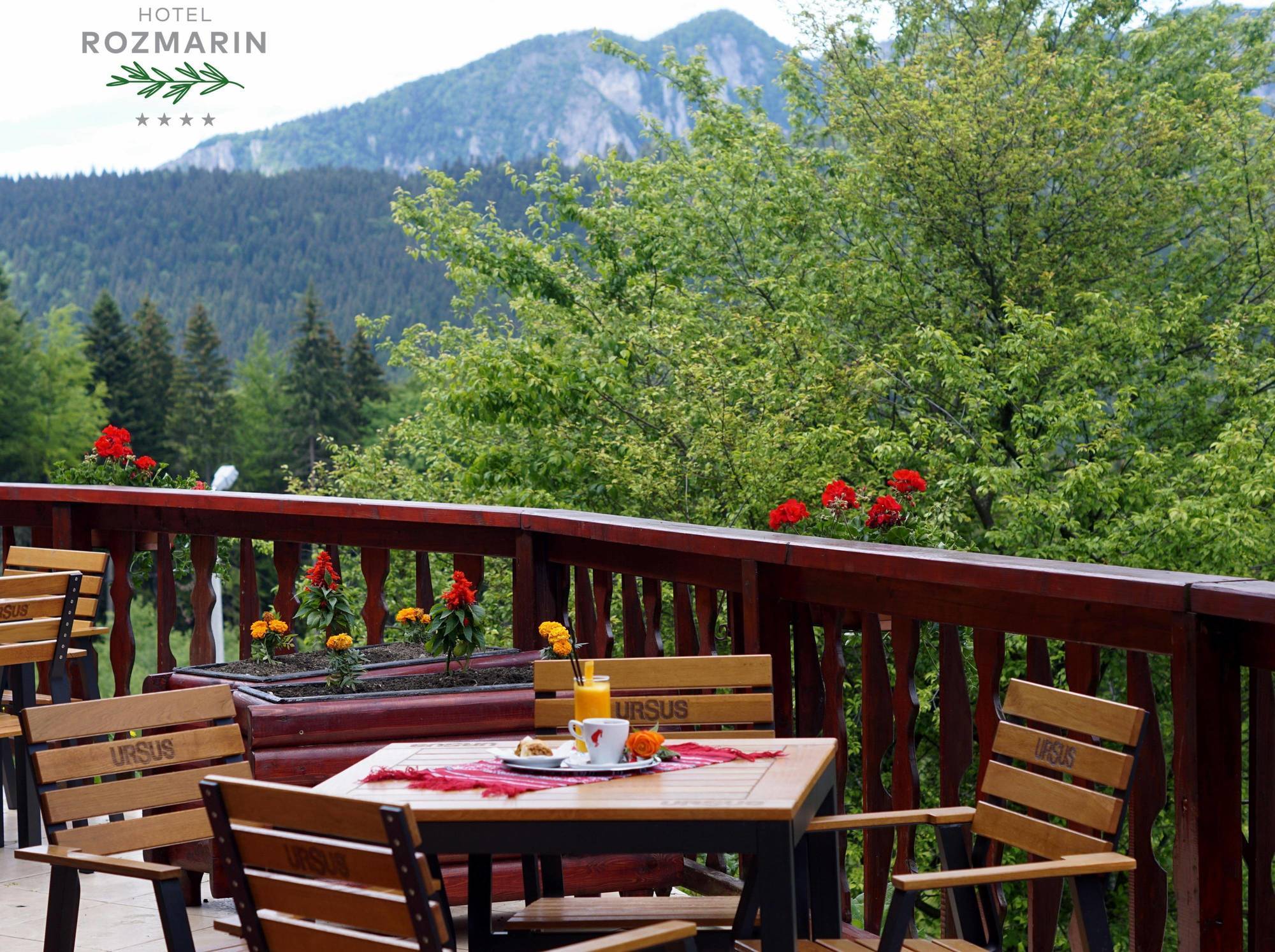 Hotel Rozmarin Predeal Dış mekan fotoğraf